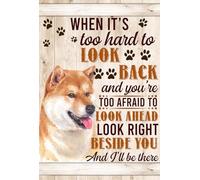 YAASIMOULE Décoration murale Skitongift, Décoration d'intérieur, Décoration de chambre quand il est trop difficile de regarder en arrière et que vous avez trop peur de regarder en avant Shiba Inu