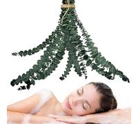 Yabauuop Eucalyptus Séché pour Salle De Bain - 10 Tiges Fleurs Séchées Composition Florale Eucalyptus - Bouquet Sec Décoratif pour Salon Maison Appartement Spa Boutique Fleurs Séjour