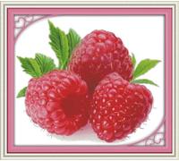 yade-show Kit de broderie au point de croix facile, Fraise des bois, 11 points, 40 x 50 cm, motif pré-imprimé, décoration murale DIY