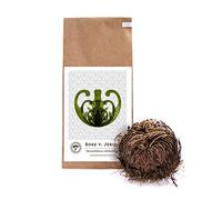 YAKEBA | Rose de Jéricho | Petite | Selaginella lepidophylla | Sac en papier | Plante décorative d'intérieur parfaite comme accessoire de terrarium ou pour votre verre de jardin en bouteille