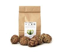 YAKEBA | Rose de Jéricho | Selaginella lepidophylla | SET ÉCONOMIQUE | 5 pièces I Plantes d'intérieur parfaites pour la décoration | Rose de Jericho Plante
