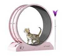 yakermur Roue d'exercice pour chat pour le fitness et l'activité | Appareil d'entraînement silencieux pour chatons - Roue pour perdre du poids - Avec machine silencieuse