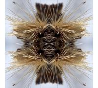 Yakuza – Sutra – CD – Neuf