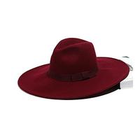 Yalych Wide Brim Warm Winter Hat for Women Ribbon Bowknot Wool Fedora Hat Classical Crushable Jazz Hat Church Party Derby Panama Hat Accessoires de Mariage (Color : E)