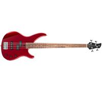 Yamaha TRBX-174 RM