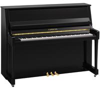 Yamaha Yamaha B20 PE