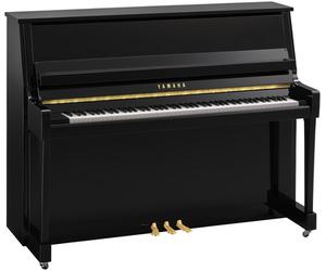 Yamaha Yamaha B20 PE
