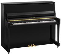 Yamaha Yamaha B30 PE