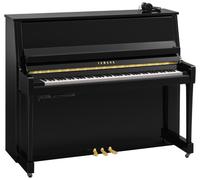 Yamaha Yamaha B30 SC3 PE