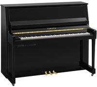 Yamaha Yamaha B30 TC3 PE