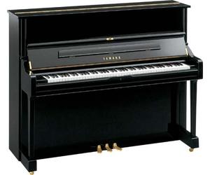 Yamaha Yamaha U1 Q PE