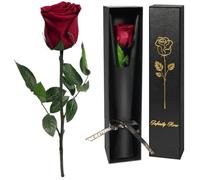 Yamonic Rose Eternelle Cadeau Femme,Vraie Rose avec Tige Cadeau Maman, Fleur Eternelle Cadeaux Anniversaire Femme,Fleur Préservée en Coffret Cadeaux Maman Noel Saint-Valentin Fete des Meres,Bordeaux