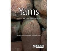 Yams by Oduro & Professor Ibok The Kwame Nkrumah University of Science and Technology KNUST & Ghana Anthony Keith Thompson , Professor Ibok Oduro (Auteur)