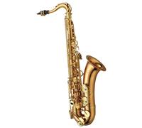 Yanagisawa T-WO2