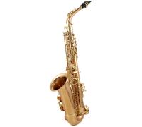 Yanagisawa Yanagisawa A-WO2 Alto Sax