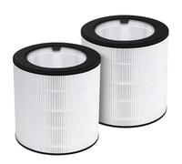 YanBan Lot de 2 filtres de rechange compatibles avec les purificateurs d'air Philips 800 Series AC0820/30 AC0820/10 AC0830/10 AC0819/10 FY0194/30