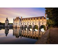 YANCONG Puzzle en Bois Adulte 1500 Pièces, Puzzle 3D Château De Chenonceau, Vallée De La Loire Jouet en Bois Cadeau Unique Décoration Intérieure
