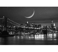 YANCONG Puzzle Enfant 1000 Pièces, Puzzle 3D,Pont De New York Vue sur La Rivière Nuit Photo Noir Et Blanc Puzzle 75X50Cm