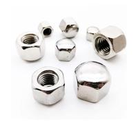 YANGC 1-10pc Écrou Hex Bombe Acier Inox 304 A2 M3-M16 | Écrou aveugle à faible couverture mince DIN917(M10 2pcs)