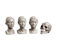 YANGJJ Lot de 4 têtes de femme pour esquisse de portrait, crânes de nature morte, sculpture de tête de mannequin humaine en résine pour enseignement du dessin médical, statues en plâtre en résine de
