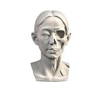 YANGJJ Modèles de tête de femme pour esquisse de portrait, modèles de dessin de crânes de nature morte, sculpture de tête de mannequin humaine en résine pour enseignement du dessin médical, statues en