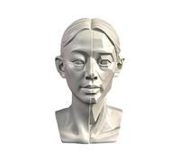 YANGJJ Modèles de tête de femme pour esquisse de portrait, modèles de dessin de crânes de nature morte, sculpture de tête de mannequin humaine en résine pour enseignement du dessin médical, statues en