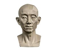 YANGJJ Modèles de tête pour esquisse de portrait, statues en plâtre en résine, modèles de dessin de crânes de nature morte, sculpture de tête de mannequin humain en résine pour enseignement du dessin