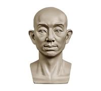 YANGJJ Modèles de tête pour esquisse de portrait, statues en plâtre en résine, modèles de dessin pour étudiants en art, crânes de nature morte, petite sculpture de tête de mannequin humain en résine