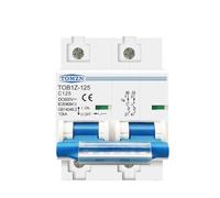 YANHAO Disjoncteur 10a,Contacteur 220v Disjoncteur 2P DC MCB 600V 125A 100A 80A for système PV, Interrupteur Principal de Batterie Courbe C(100A)