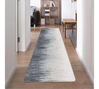 YANHONG Tapis de Couloir 55 x 120 cm Lavable en Machine Ne Perd Pas Ses Poils Tapis Couloir Long Rectangulaire Antidérapant Shaggy pour Couloir, Salle à Manger, Entrée, D