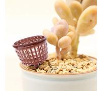 Yanhonin 10pcs Outil de bonsaï, boîte de Panier de Couverture d'engrais, Pot de pépinière Portable