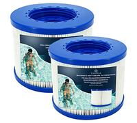 YANHUA Filtre de Spa à Visser,Compatible pour Cosy Spa, Clever Spa et de Plus,Filtre à Vis pour Spa Gonflable pour Spa Rechange Filtre (2)