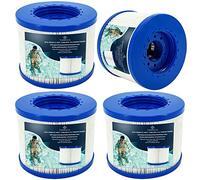 YANHUA Filtre de Spa à Visser,Compatible pour Cosy Spa, Clever Spa et de Plus,Filtre à Vis pour Spa Gonflable pour Spa Rechange Filtre (4)