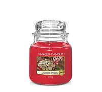 Yankee Bougie Classic Medium Jar Peppermint Pins 411g