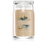 Yankee Candle Amber & Sandalwood bougie parfumée 567 g