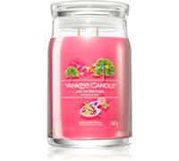 Yankee Candle Art In The Park bougie parfumée Signature 567 g