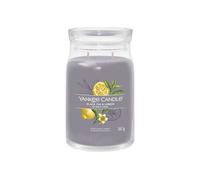 YANKEE CANDLE Bougie Grande Signature Thé Noir & Citron