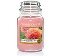 Yankee Candle bougie jarre parfumée | grande taille | Rose Succulente | jusqu’à 150 heures de combustion