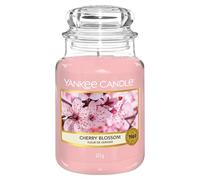 Yankee Candle bougie jarre parfumée | grande taille | Eau de Noix de Coco | jusqu’à 150 heures de combustion |Cadeaux de la fête des mères