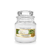 Yankee Candle bougie jarre parfumée | petite taille | Camélia en fleurs | jusqu’à 30 heures de combustion | La Collection Garden Hideaway