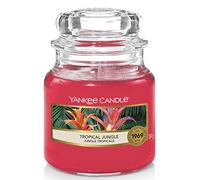 Yankee Candle bougie jarre parfumée | petite taille | Jungle Tropicale | jusqu’à 30 heures de combustion