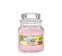 Yankee Candle bougie jarre parfumée | petite taille | Rêverie au soleil | jusqu’à 30 heures de combustion | La Collection Garden Hideaway