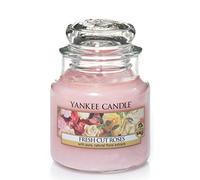 Yankee Candle bougie jarre parfumée | petite taille | Roses fraîchement coupées | jusqu’à 30 heures de combustion