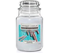 Yankee Candle Bougie parfumée en pot Forêt Grande canne 538 g