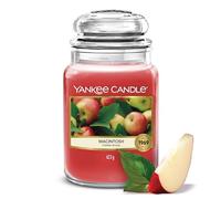 Yankee Candle Bougie parfumée | Grand pot Macintosh | Bougies à longue durée de combustion : jusqu'à 150 heures | Cadeaux parfaits pour femmes