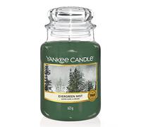 Yankee Candle bougie parfumée Sapins dans la brume ; petite taille jusqu’à 30 heures de combustion ; Cadeau parfait pour femme