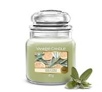 Yankee Candle Bougie parfumée | Sauge & Agrumes en pot moyen | Bougies à longue durée de combustion : jusqu'à 75 heures | Cadeaux parfaits pour femmes
