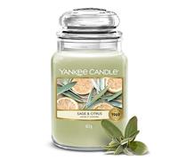 Yankee Candle Bougie parfumée | Sauge & Agrumes Grand Pot | Bougies longue durée : jusqu'à 150 heures | Cadeaux parfaits pour femmes