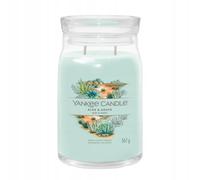 Yankee Candle Bougie parfumée Praline & Birch 567 g variante Aloe & Agave