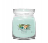 Yankee Candle Bougie signature Aloe et Agave – modèle moyen